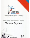 Tereza Fayová, pole dance & fitness